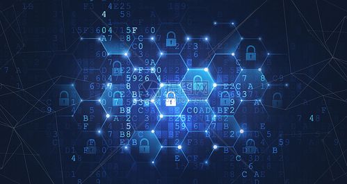 2025年入門網(wǎng)絡(luò)空間安全 前景、路徑與專精方向解析